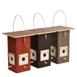 Lintulauta, ruokinta-automaatti siemenille - Ravinteli